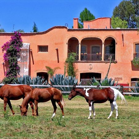 Hacienda Sepulveda Hotel & Spa (Adults Only) Lagos de Moreno Exterior foto